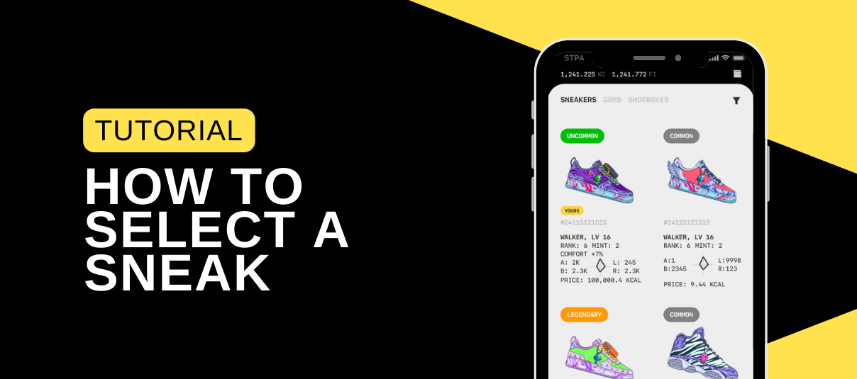 How to Select Your SNEAK Blog Step App